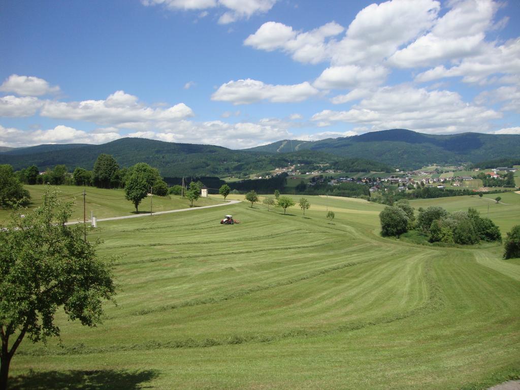 Hochfichtblick Apartments Ulrichsberg Exteriér fotografie